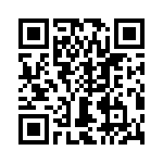 T38413-04-0 QRCode