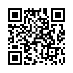 T38413-09-0 QRCode