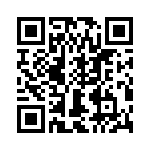 T38413-13-0 QRCode