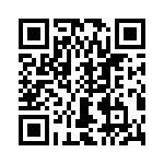 T38415-13-0 QRCode