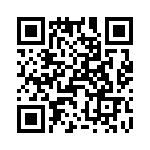 T38420-01-0 QRCode