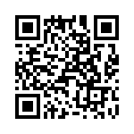 T38420-21-0 QRCode