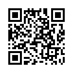 T38422-11-0 QRCode