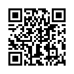 T38423-04-0 QRCode