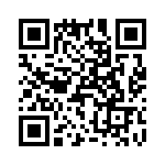 T38423-07-0 QRCode