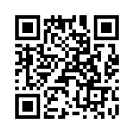 T38430-02-0 QRCode