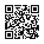 T38431-04-0 QRCode