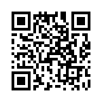 T38431-24-0 QRCode