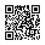 T38462-08-0 QRCode