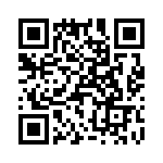 T38463-04-0 QRCode