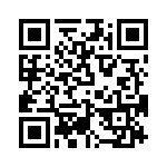 T38463-17-0 QRCode