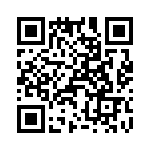 T38510-21-0 QRCode