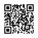 T38512-09-0 QRCode