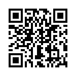 T38513-03-0 QRCode