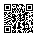 T38513-09-0 QRCode