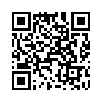 T38522-06-0 QRCode