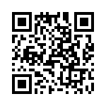 T38522-11-0 QRCode