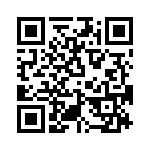 T38527-07-0 QRCode