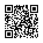 T38528-23-0 QRCode