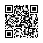 T38532-14-0 QRCode