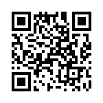 T38532-25-0 QRCode