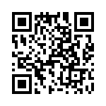 T38533-11-0 QRCode