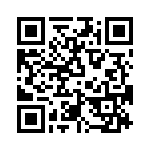 T38533-25-0 QRCode