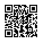 T38538-03-0 QRCode