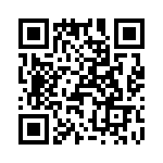 T38540-21-0 QRCode