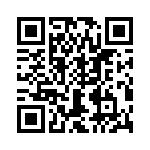 T38540-24-0 QRCode