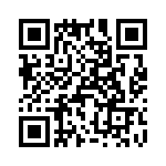 T38541-09-0 QRCode