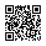 T38541-10-0 QRCode