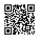 T38567-25-0 QRCode