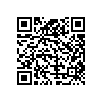 T4171210404-001 QRCode