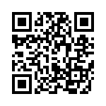 T5071080B4AQ QRCode