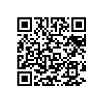 T540B336K006BH85107280 QRCode