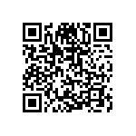 T540D337M004DH86057280 QRCode