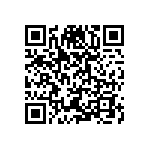 T540D687K2R5BH87057280 QRCode