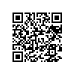 T540D687M2R5DH86057280 QRCode