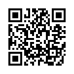 T700063004BY QRCode