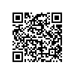 T86E336K025ESSS QRCode