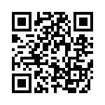 T92P11A22-12 QRCode