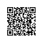 T95D336M025ESAS QRCode