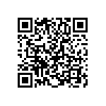 T95R127K020HSSS QRCode