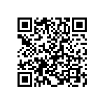 T95R127K020HZAS QRCode