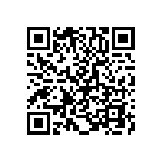 T95R127K020HZSS QRCode