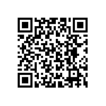 T95R127K020LSAS QRCode