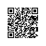 T95Y106M020EZSL QRCode