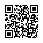 T9G0141003DH QRCode