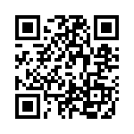 TH13 QRCode